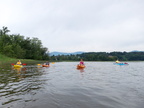 IMG 4100